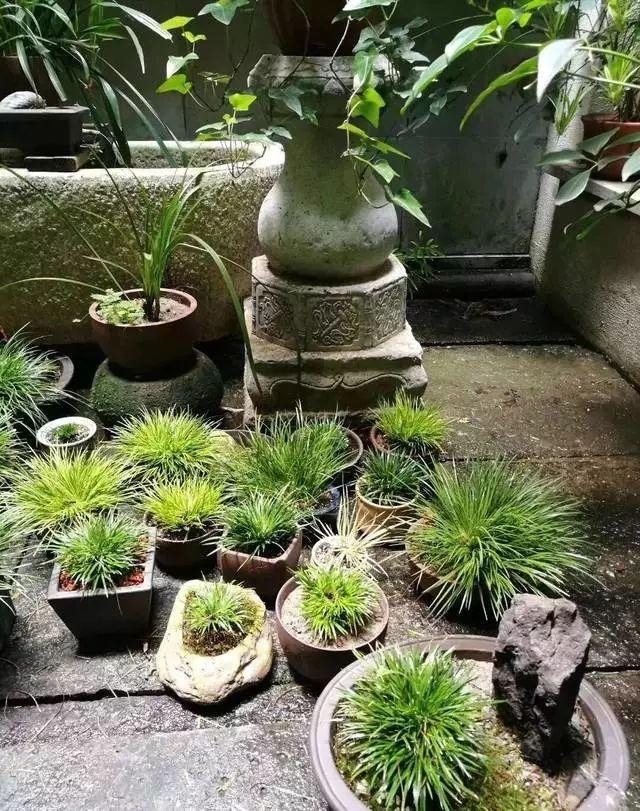 老石器,老院子,小院一方,安度余生
