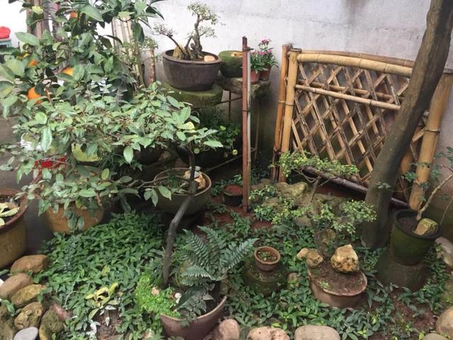 老石器,老院子,小院一方,安度余生