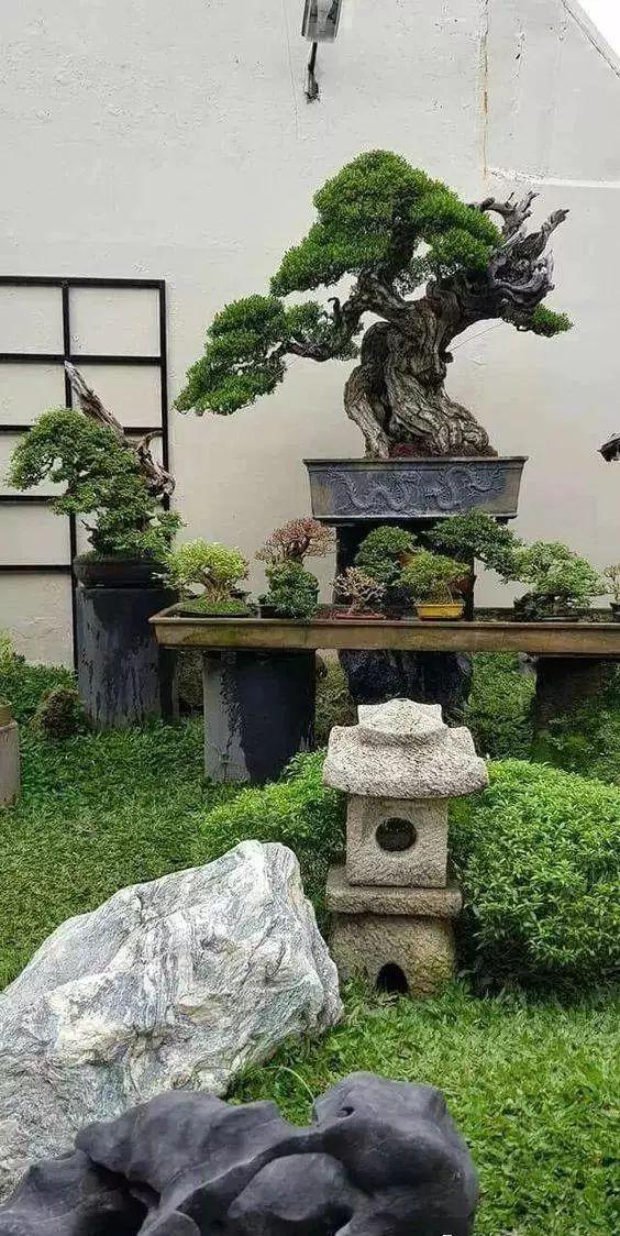 老石器,老院子,小院一方,安度余生