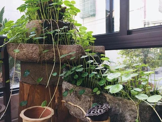 老石器,老院子,小院一方,安度余生
