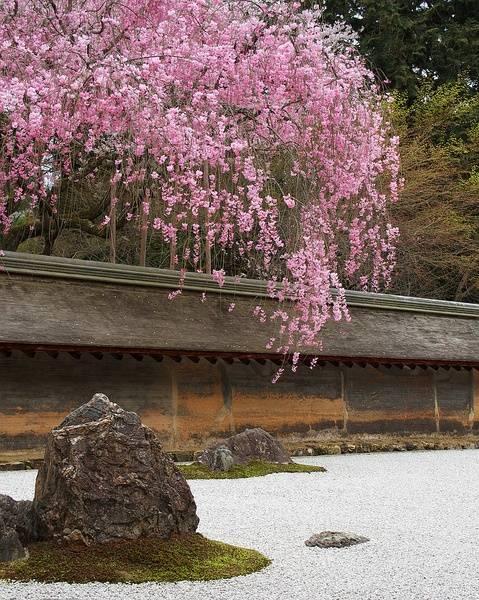 日本庭院|枯山水详解 · 附案例