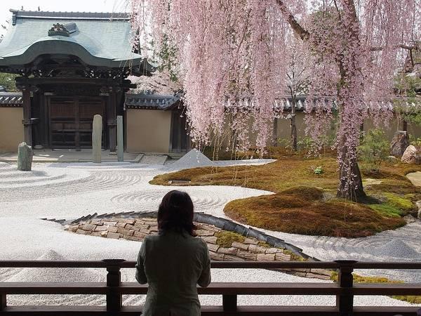 日本庭院|枯山水详解 · 附案例