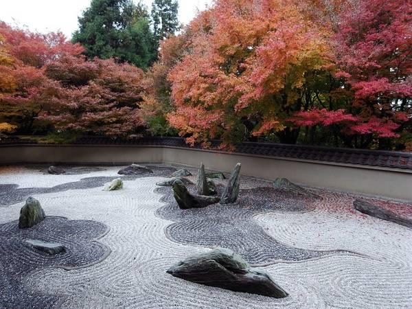日本庭院|枯山水详解 · 附案例