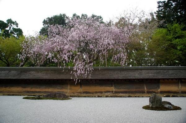 日本庭院|枯山水详解 · 附案例