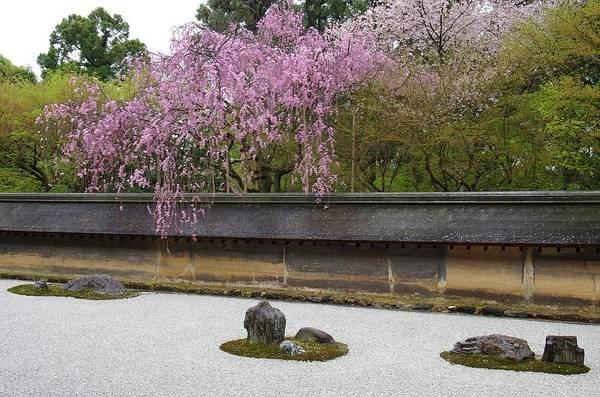 日本庭院|枯山水详解 · 附案例