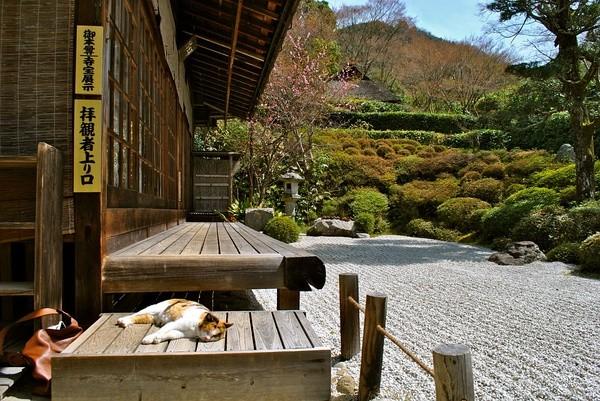 日本庭院|枯山水详解 · 附案例