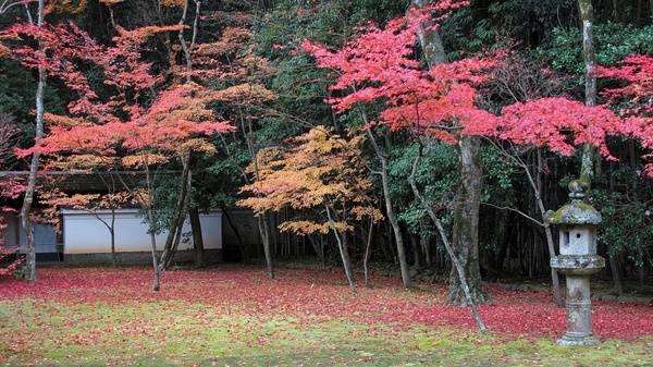 日本庭院|枯山水详解 · 附案例