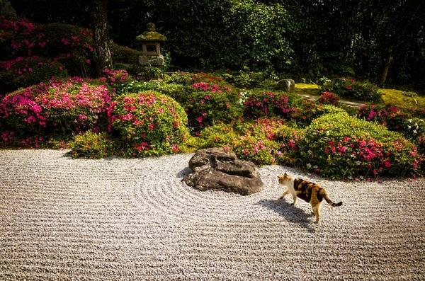 日本庭院|枯山水详解 · 附案例