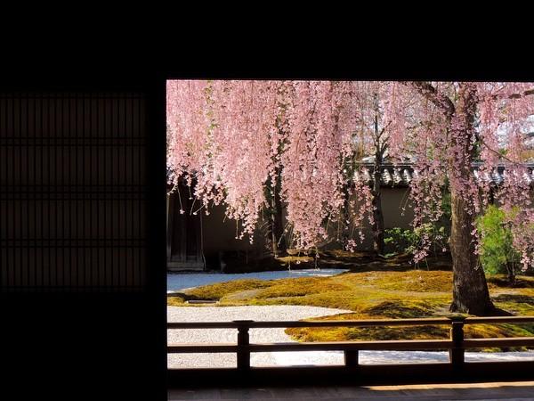 日本庭院|枯山水详解 · 附案例