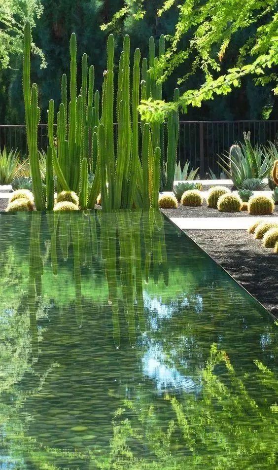庭院水景设计|教你如何玩转自家庭院水景！