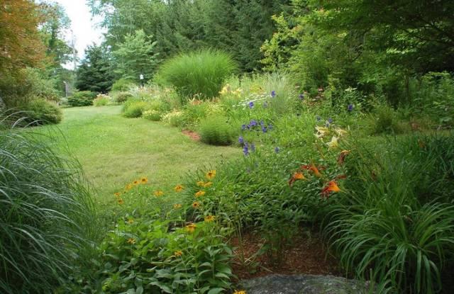 如何做好庭院植物的色彩搭配，让你的庭院更有品味！