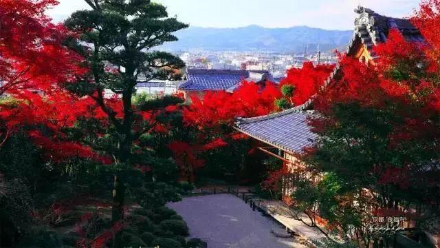 日式庭院景观空间的禅意塑造