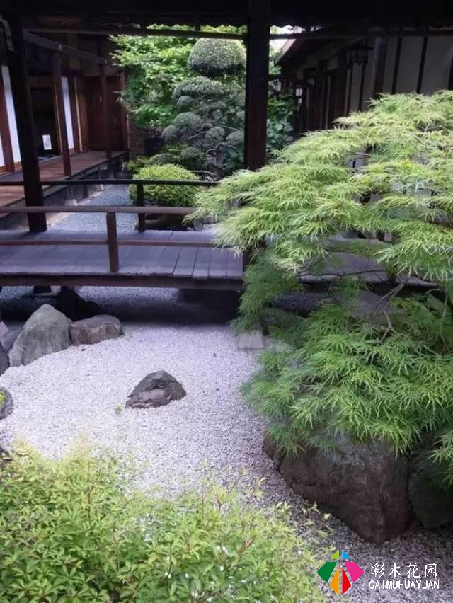 几种不同风格的庭院植物配置