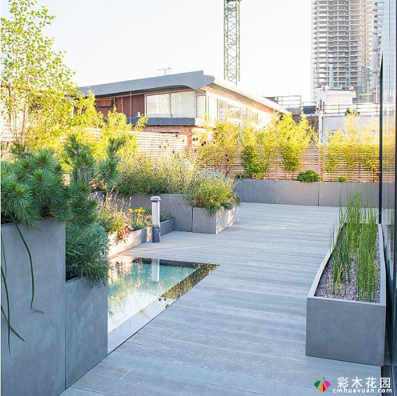 庭院设计:10个花园的案例，可以在北方和南方完成。设计这么小的区域更好。