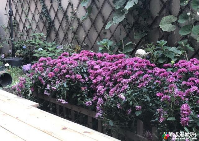 70㎡庭院改造:买下一楼送来的庭院后，我忙碌了两年，终于实现了花园的梦想