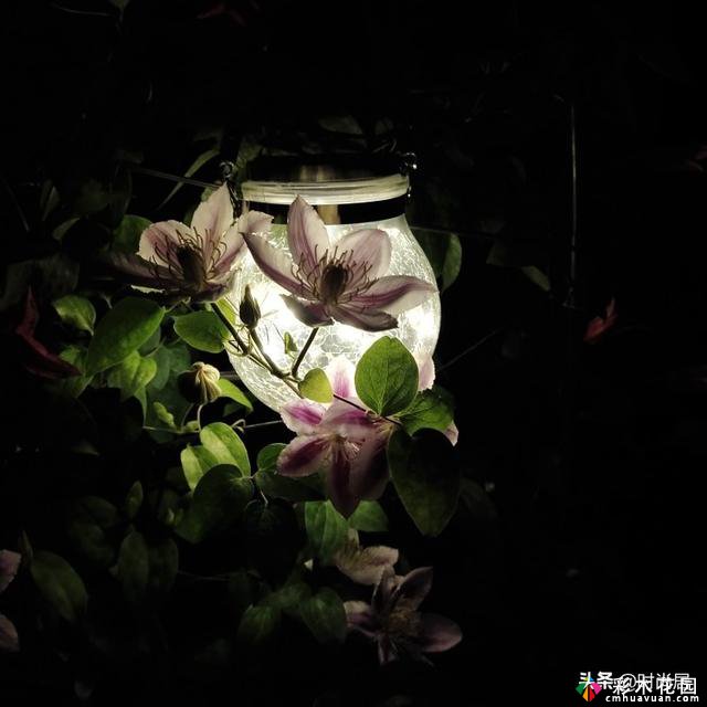 70㎡庭院改造:买下一楼送来的庭院后，我忙碌了两年，终于实现了花园的梦想