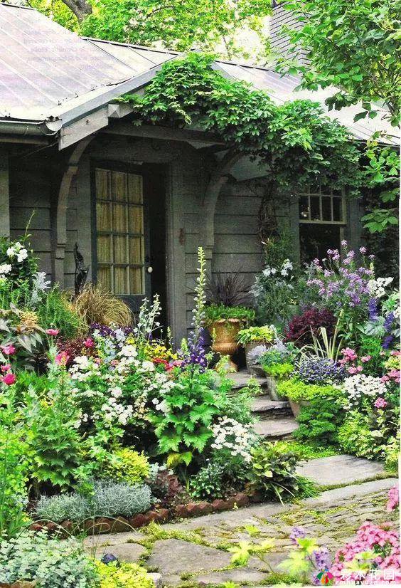 创造一个梦幻般的农舍花园，正确的方法就在这里