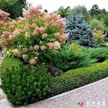 三角形构图的植物配置具有星星捧月的古典美感,严谨而庄重