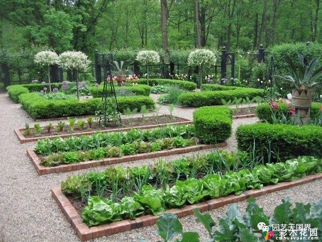 庭院设计教师手册中的植物和菜地-庭院
