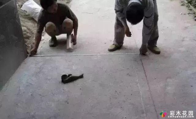 超细致庭院铺设干货,这样你的花园就不会再跟着样品走了。