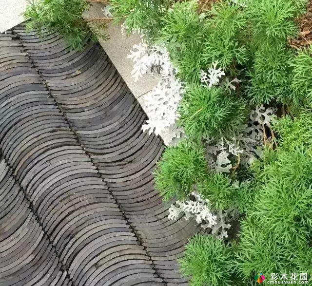 花园铺路,从材料选择到施工要点,都是必不可少的