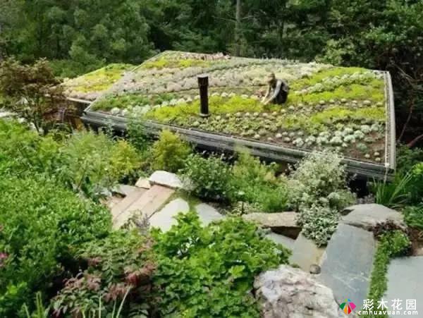 30个“创意+强制”屋顶花园设计案例