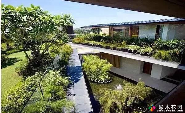 30个“创意+强制”屋顶花园设计案例