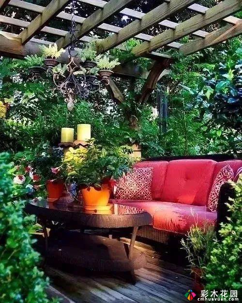 七种颜色的庭院花园,哪一种是你沉醉的爱?