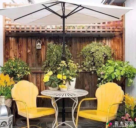 七种颜色的庭院花园,哪一种是你沉醉的爱?