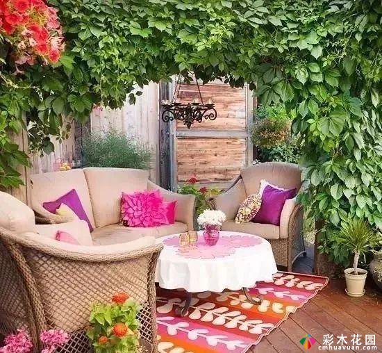 七种颜色的庭院花园,哪一种是你沉醉的爱?