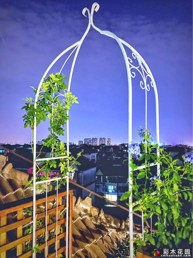 30㎡“露台花园”经过翻新和翻新,它被翻了一整天,立刻感觉清新和美丽