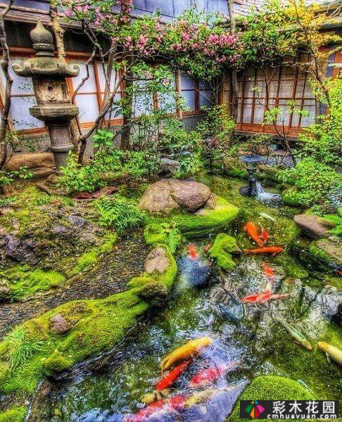 16种日本风格庭院设计:抓住这四个要点,创造优雅的日本风格庭院,这很合适