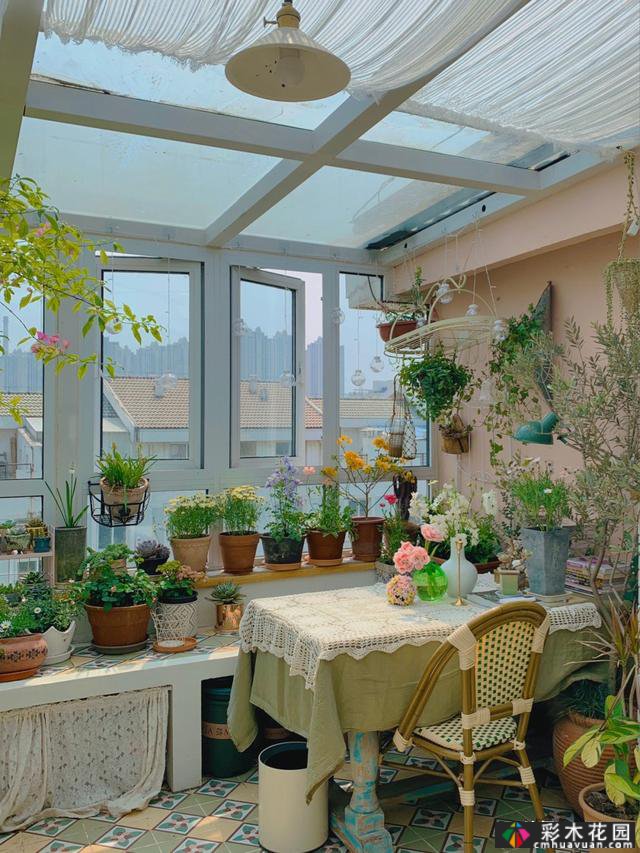40㎡露台“阳光花屋”,打造一个365天开花的小屋顶花园