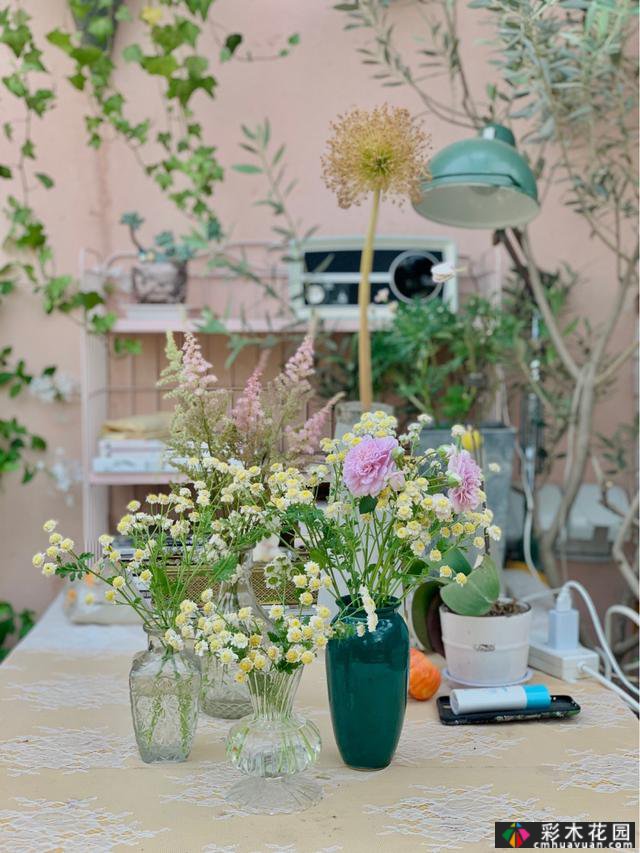 40㎡露台“阳光花屋”,打造一个365天开花的小屋顶花园