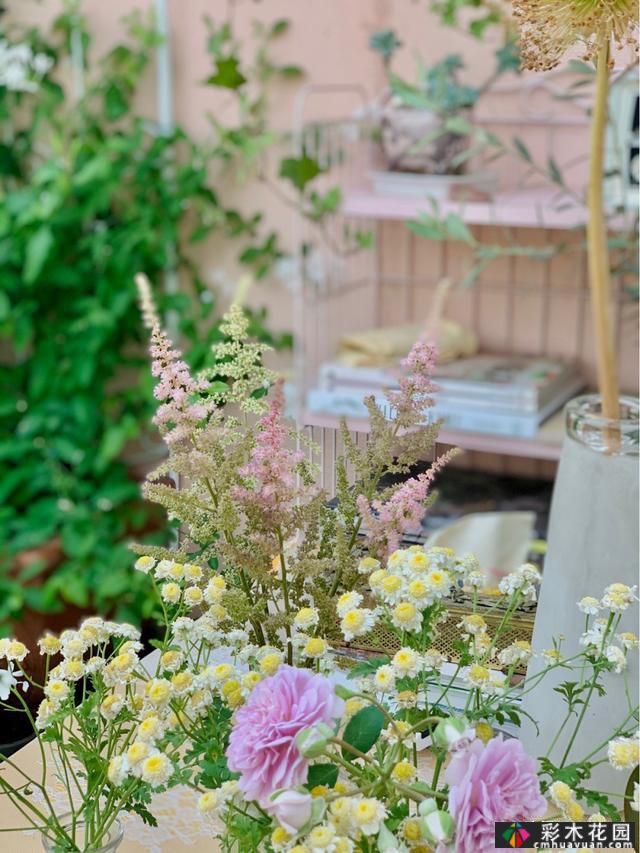 40㎡露台“阳光花屋”,打造一个365天开花的小屋顶花园
