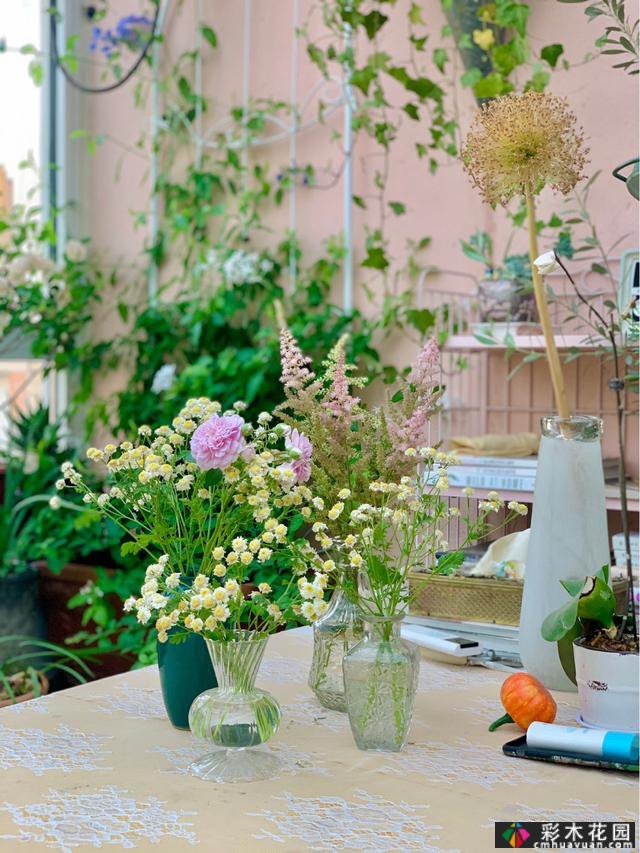 40㎡露台“阳光花屋”,打造一个365天开花的小屋顶花园