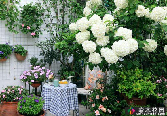 19层屋顶“花园露台”设计:网友们高喊:美得一塌糊涂