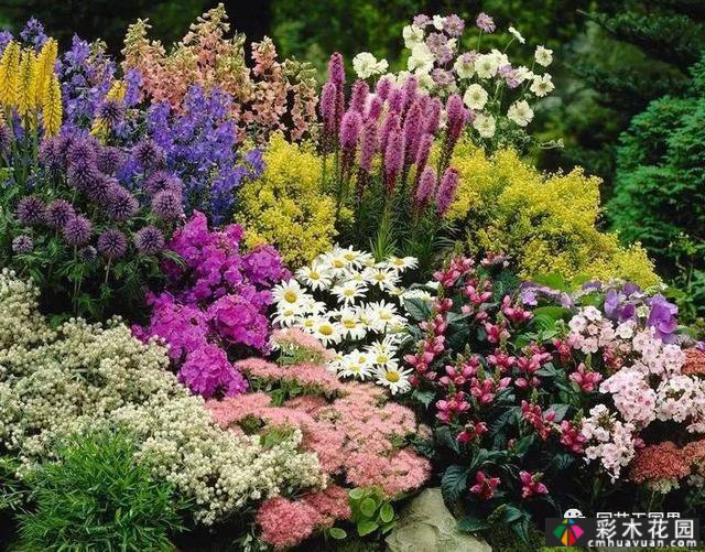 小庭院设计-维护花境也是园艺的一大乐趣
