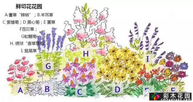 干货收藏|关于花境设计,最全面的介绍