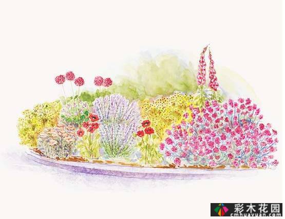 干货收藏|关于花境设计,最全面的介绍