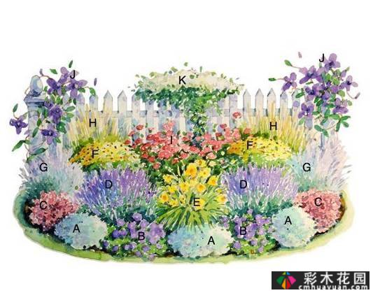 干货收藏|关于花境设计,最全面的介绍