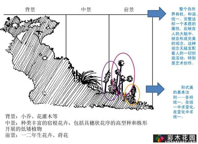 干货收藏|关于花境设计,最全面的介绍