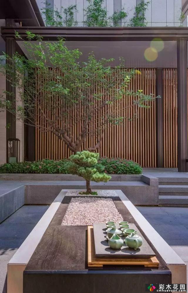 20平庭院设计:创建一个“下沉”的小庭院,其价值超出图表花园