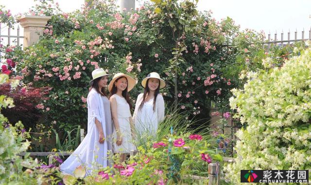 这位78岁的祖父翻修了这个废弃的院子，并为他的孙女建了一个院子

