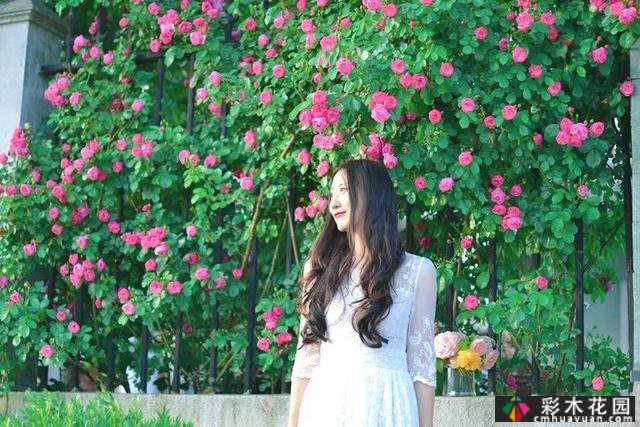 这位78岁的祖父翻修了这个废弃的院子，并为他的孙女建了一个院子
