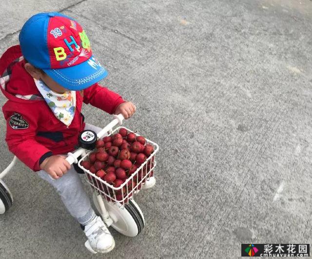 这位78岁的祖父翻修了这个废弃的院子，并为他的孙女建了一个院子
