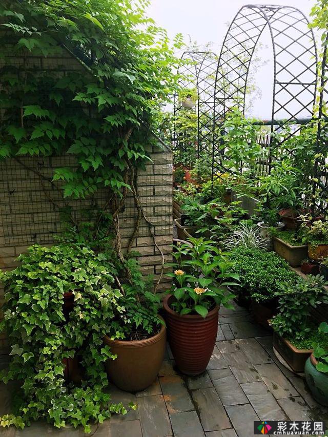 100㎡的露台创造“空气花园”,伴随着花草,露台是诗意和距离
