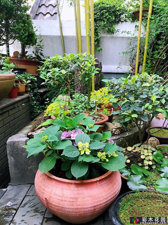 100㎡的露台创造“空气花园”,伴随着花草,露台是诗意和距离