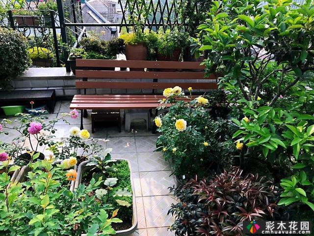 100㎡的露台创造“空气花园”,伴随着花草,露台是诗意和距离