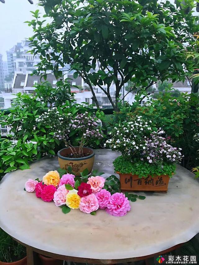 100㎡的露台创造“空气花园”,伴随着花草,露台是诗意和距离